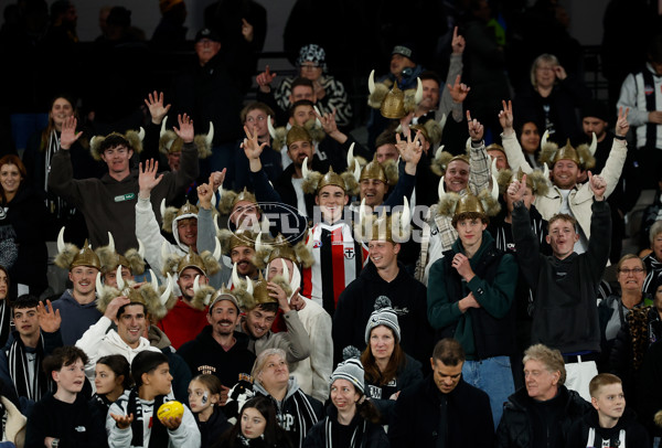 AFL 2025 Round 15 - Collingwood v St Kilda - A-60170516