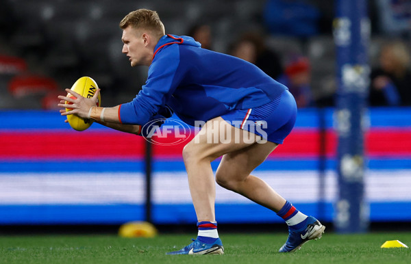 AFL 2025 Round 15 - Western Bulldogs v Richmond - A-60181567