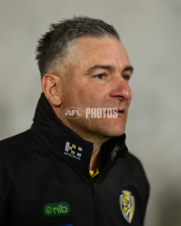 AFL 2025 Round 15 - Western Bulldogs v Richmond - A-60181635