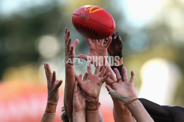 AFL 2025 Round 15 - GWS v Gold Coast - A-60183412