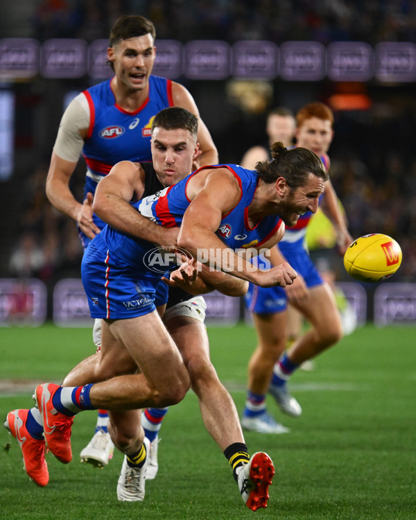AFL 2025 Round 15 - Western Bulldogs v Richmond - A-60184829
