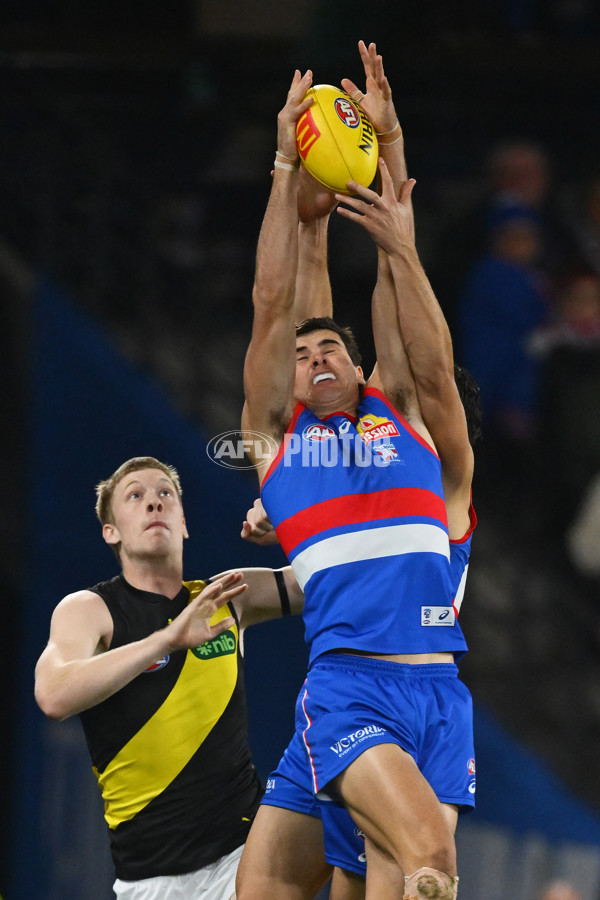AFL 2025 Round 15 - Western Bulldogs v Richmond - A-60187710