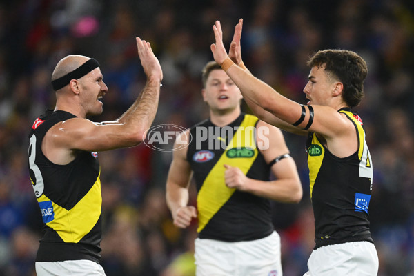 AFL 2025 Round 15 - Western Bulldogs v Richmond - A-60188426