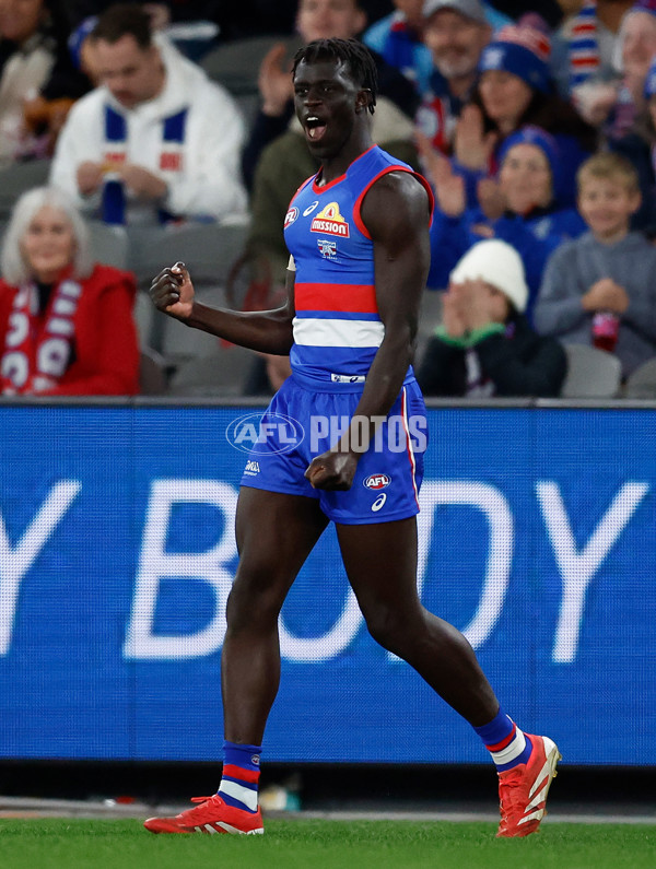 AFL 2025 Round 15 - Western Bulldogs v Richmond - A-60190608