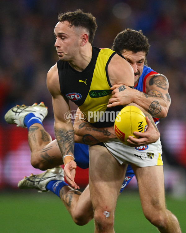 AFL 2025 Round 15 - Western Bulldogs v Richmond - A-60190615