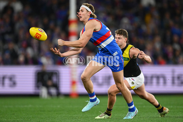 AFL 2025 Round 15 - Western Bulldogs v Richmond - A-60190619