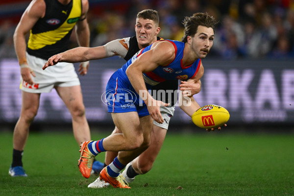 AFL 2025 Round 15 - Western Bulldogs v Richmond - A-60191965