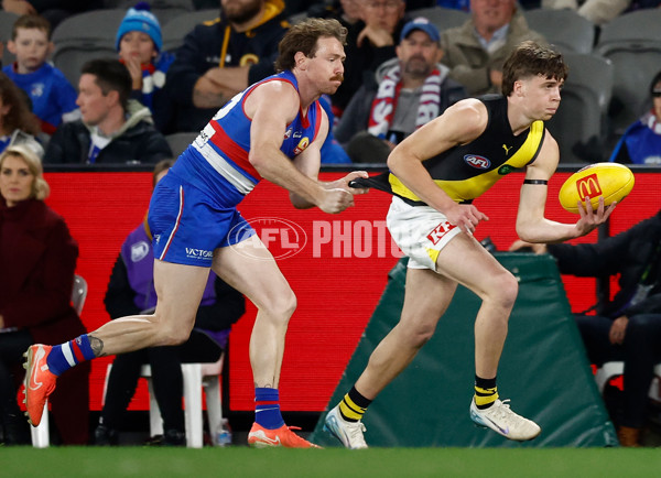 AFL 2025 Round 15 - Western Bulldogs v Richmond - A-60192025