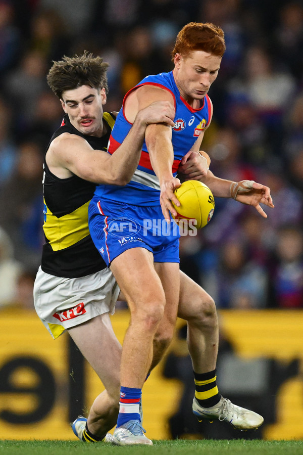 AFL 2025 Round 15 - Western Bulldogs v Richmond - A-60193484