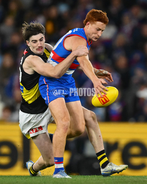 AFL 2025 Round 15 - Western Bulldogs v Richmond - A-60193485