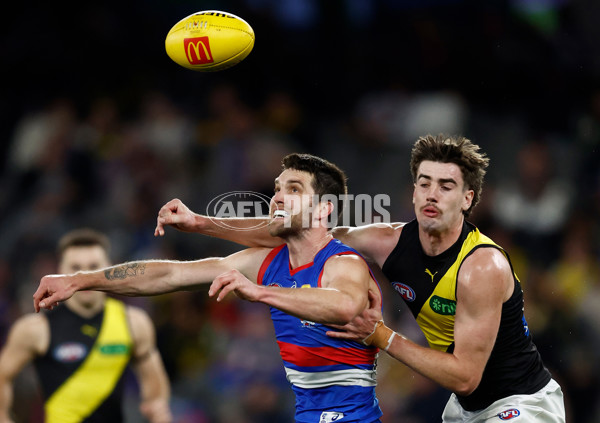 AFL 2025 Round 15 - Western Bulldogs v Richmond - A-60193499