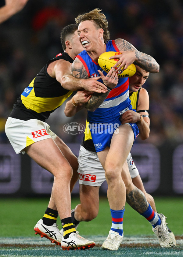AFL 2025 Round 15 - Western Bulldogs v Richmond - A-60193511