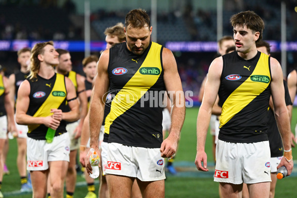 AFL 2025 Round 15 - Western Bulldogs v Richmond - A-60193512