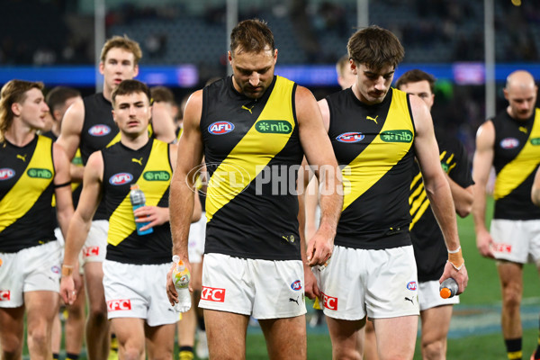 AFL 2025 Round 15 - Western Bulldogs v Richmond - A-60193514
