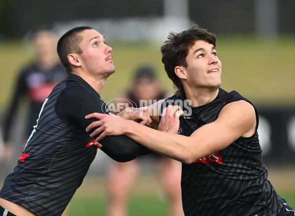AFL 2025 Training - Collingwood 240625 - A-60209305