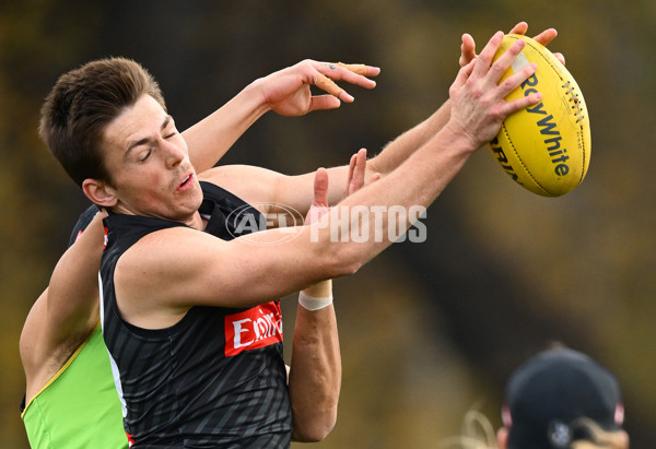 AFL 2025 Training - Collingwood 240625 - A-60209320