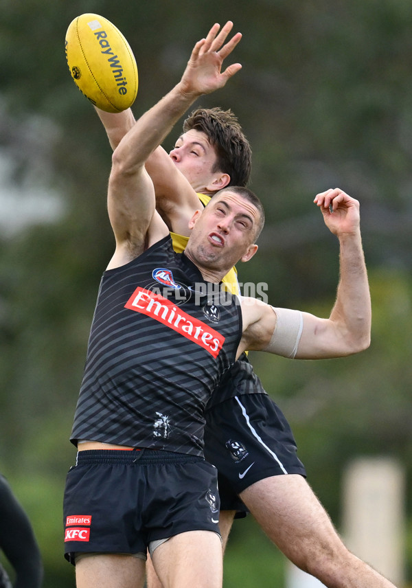 AFL 2025 Training - Collingwood 240625 - A-60209321