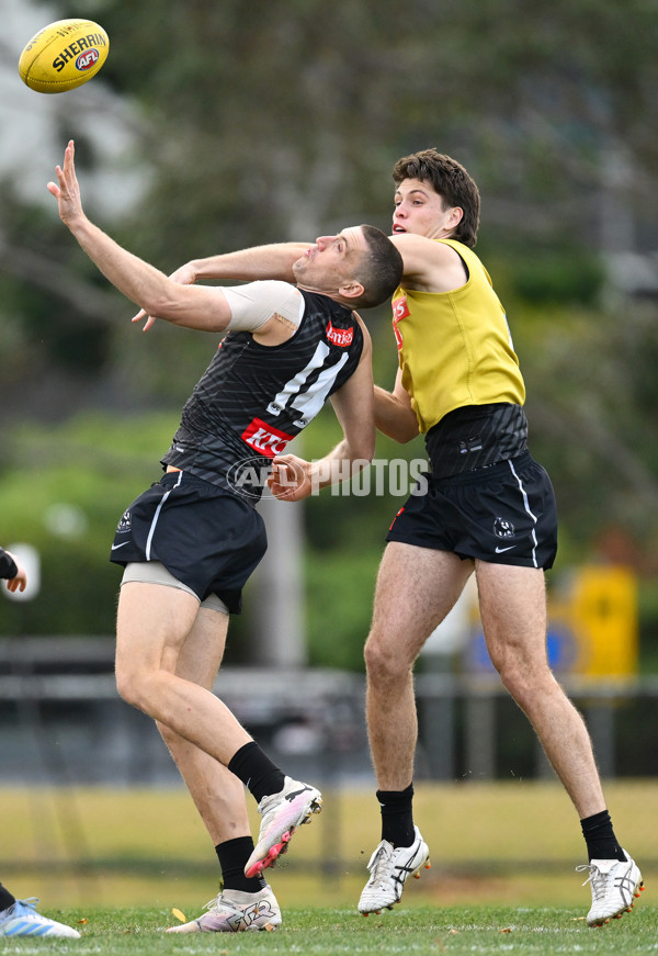 AFL 2025 Training - Collingwood 240625 - A-60209322