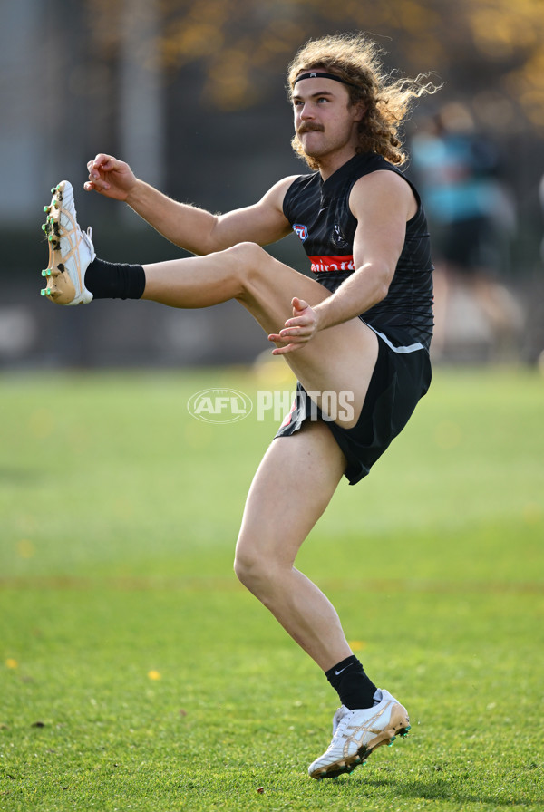 AFL 2025 Training - Collingwood 240625 - A-60209323