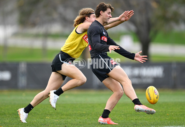AFL 2025 Training - Collingwood 240625 - A-60209329