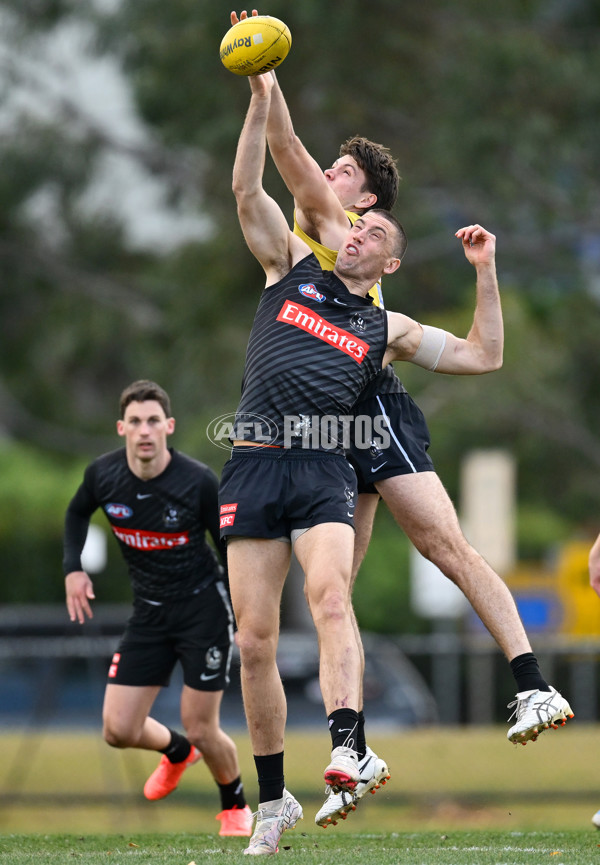 AFL 2025 Training - Collingwood 240625 - A-60211170