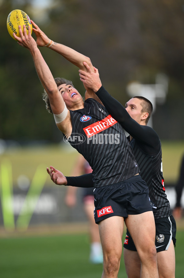 AFL 2025 Training - Collingwood 240625 - A-60211171