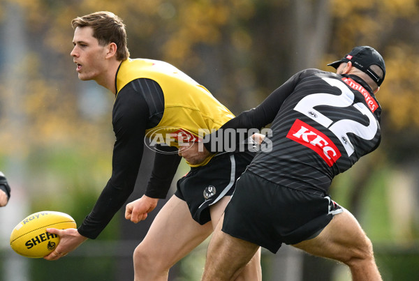 AFL 2025 Training - Collingwood 240625 - A-60211172