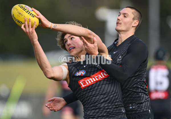 AFL 2025 Training - Collingwood 240625 - A-60211177