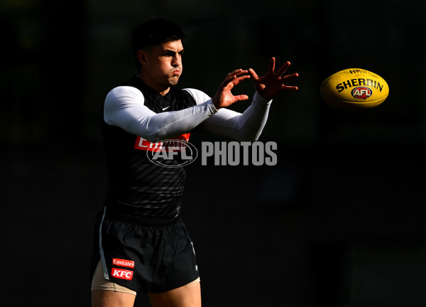 AFL 2025 Training - Collingwood 240625 - A-60211195