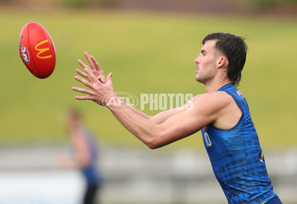 AFL 2025 Training - Western Bulldogs 250625 - A-60211227