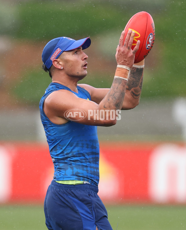 AFL 2025 Training - Western Bulldogs 250625 - A-60212213