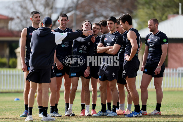 AFL 2025 Training - Carlton 250625 - A-60214091