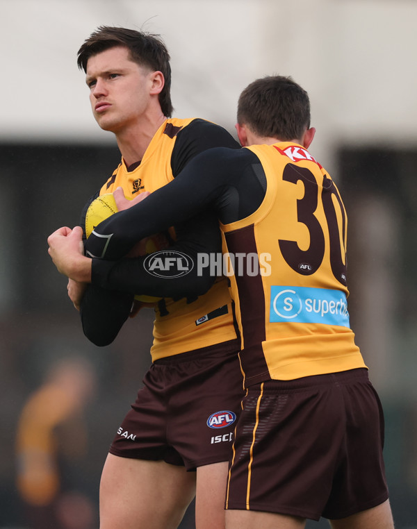 AFL 2025 Training - Hawthorn 260625 - A-60214112