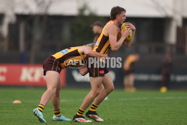 AFL 2025 Training - Hawthorn 260625 - A-60214113