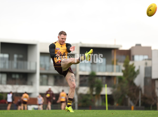 AFL 2025 Training - Hawthorn 260625 - A-60214125