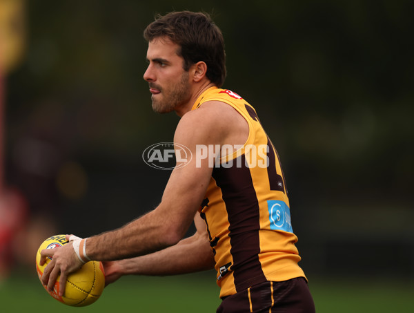 AFL 2025 Training - Hawthorn 260625 - A-60214128
