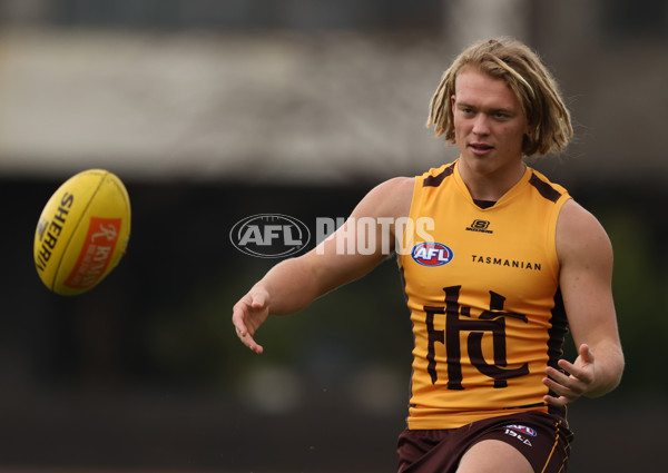 AFL 2025 Training - Hawthorn 260625 - A-60214129