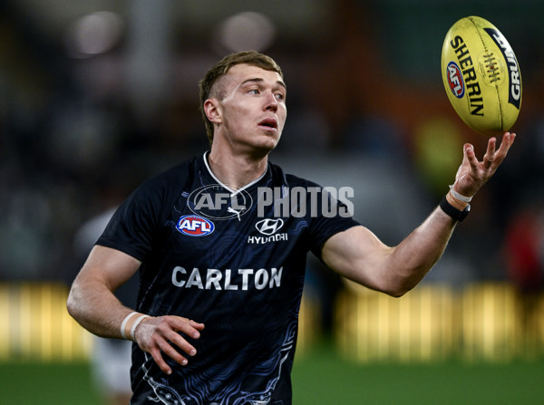 AFL 2025 Round 16 - Port Adelaide v Carlton - A-60214166