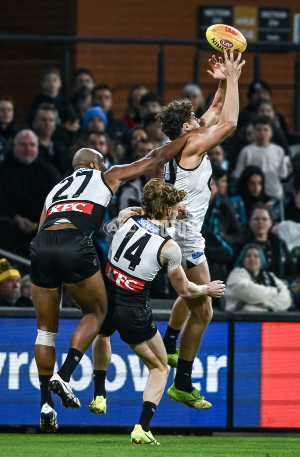 AFL 2025 Round 16 - Port Adelaide v Carlton - A-60214450