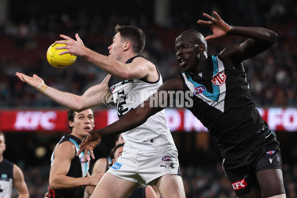 AFL 2025 Round 16 - Port Adelaide v Carlton - A-60214451