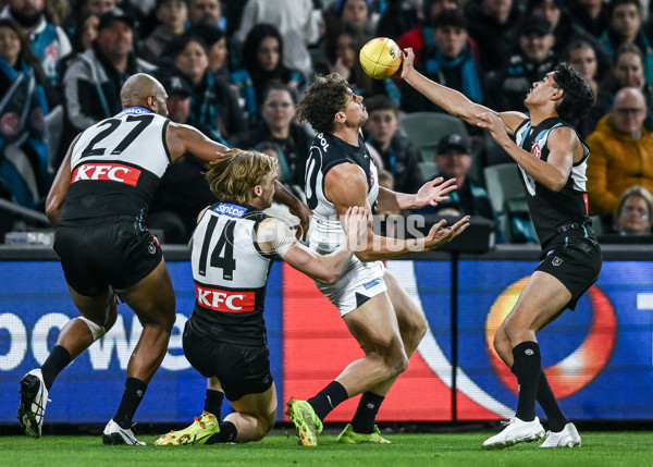 AFL 2025 Round 16 - Port Adelaide v Carlton - A-60214453