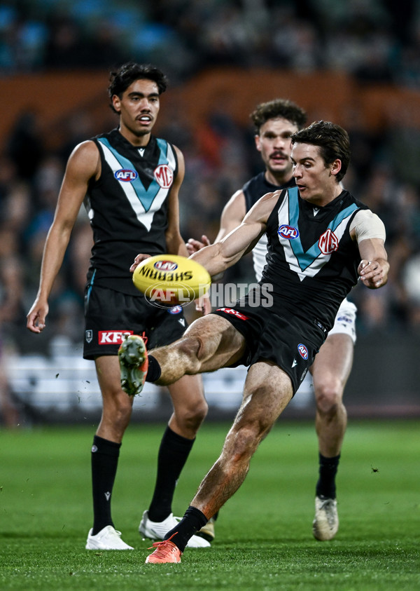 AFL 2025 Round 16 - Port Adelaide v Carlton - A-60216913