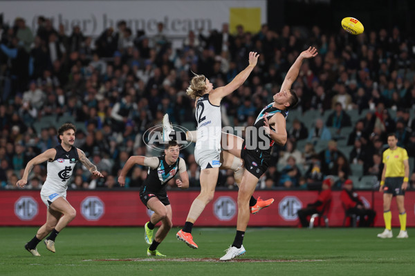 AFL 2025 Round 16 - Port Adelaide v Carlton - A-60216919