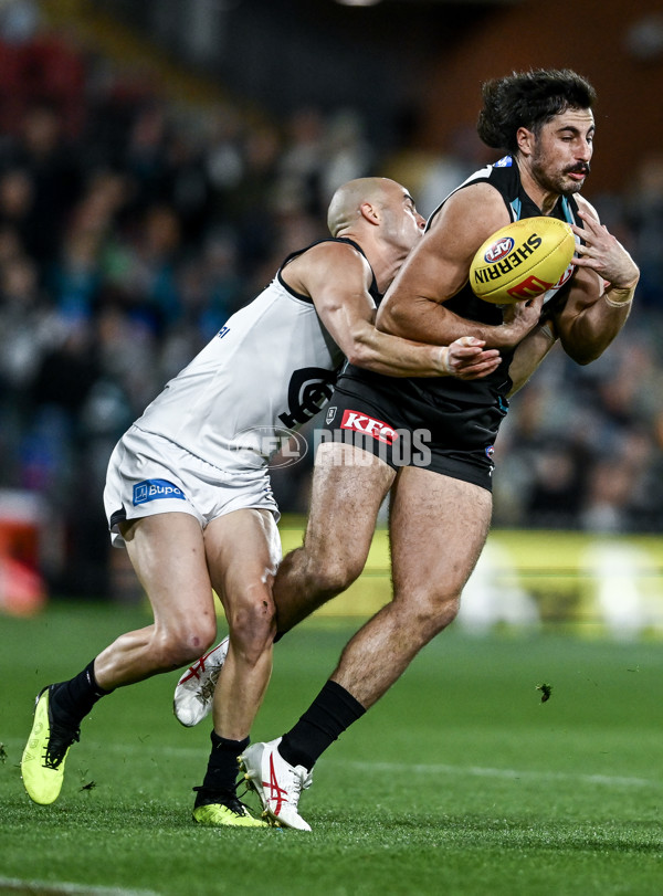 AFL 2025 Round 16 - Port Adelaide v Carlton - A-60216931