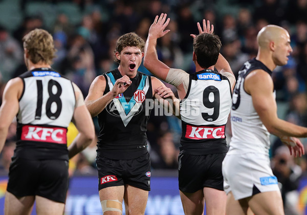 AFL 2025 Round 16 - Port Adelaide v Carlton - A-60216937