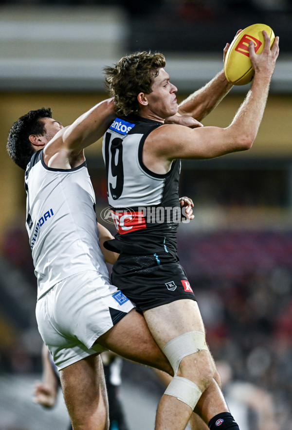 AFL 2025 Round 16 - Port Adelaide v Carlton - A-60216949