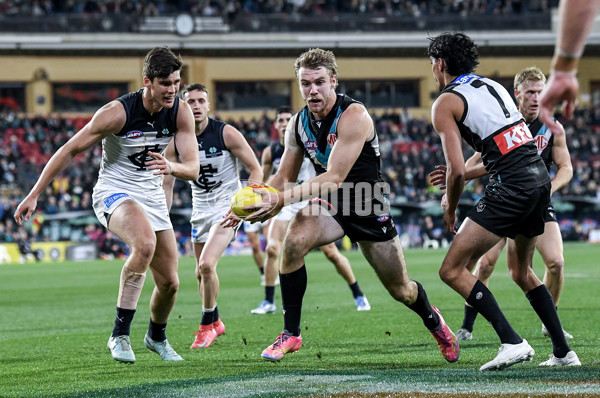 AFL 2025 Round 16 - Port Adelaide v Carlton - A-60216985