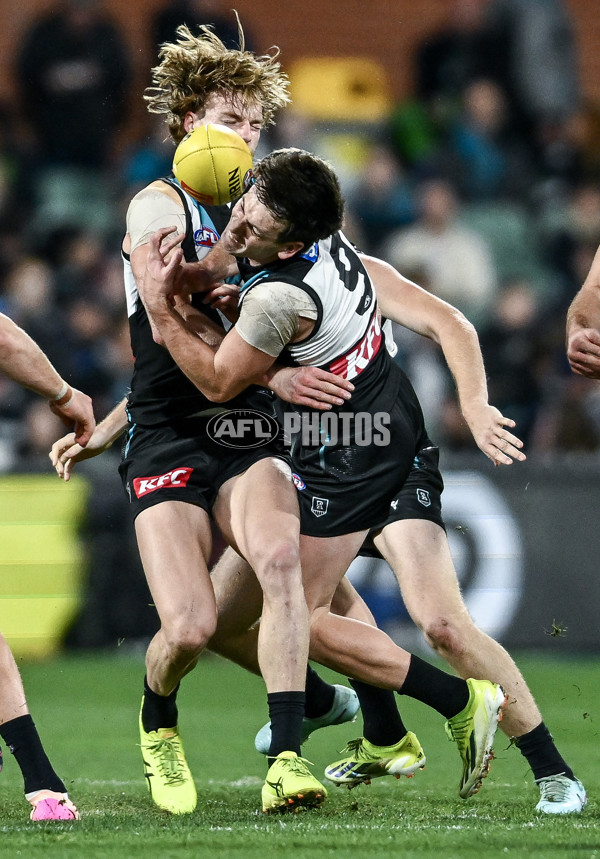 AFL 2025 Round 16 - Port Adelaide v Carlton - A-60216990