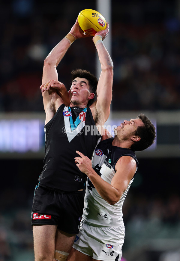 AFL 2025 Round 16 - Port Adelaide v Carlton - A-60216992