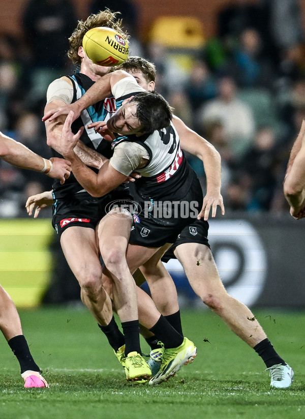 AFL 2025 Round 16 - Port Adelaide v Carlton - A-60216997